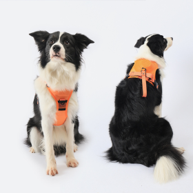 Harness Vest-style Explosion-proof Dog Hand Holding Rope