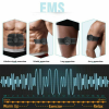 CorePulse™ - Electric Muscle Toner Belt