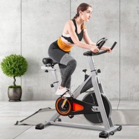 PulseRide™ - Indoor Exercise Bike